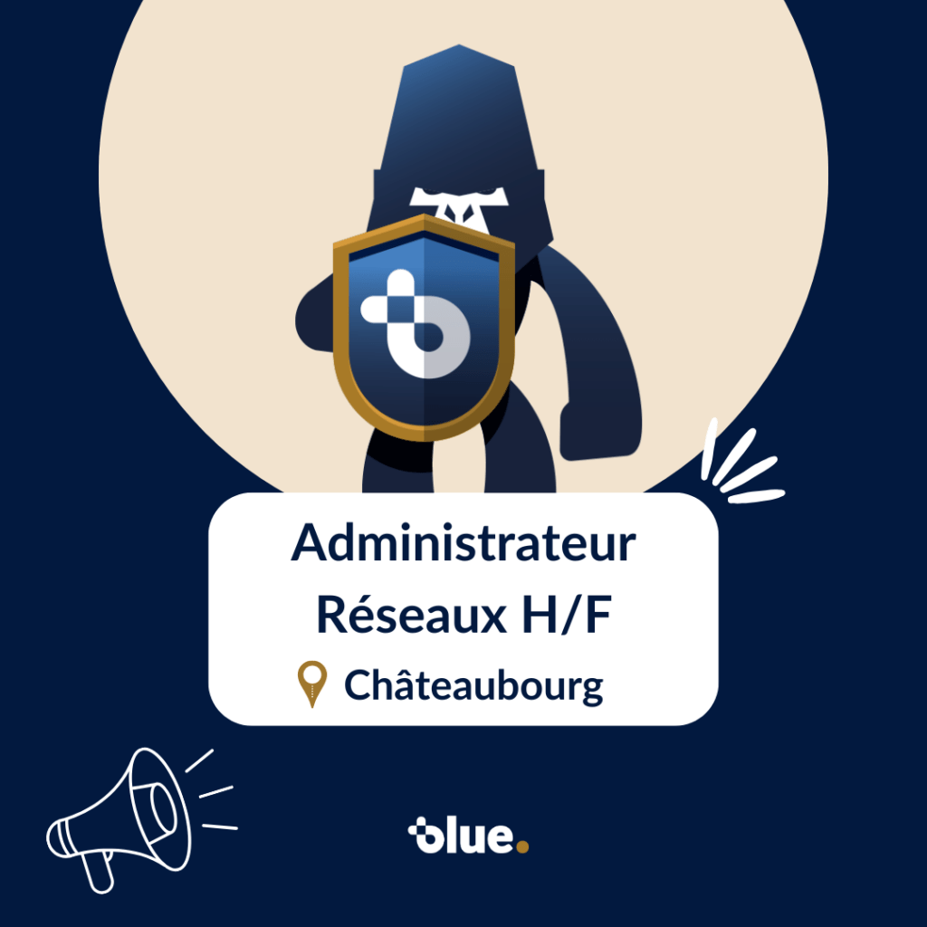 Administrateur Réseaux H_F