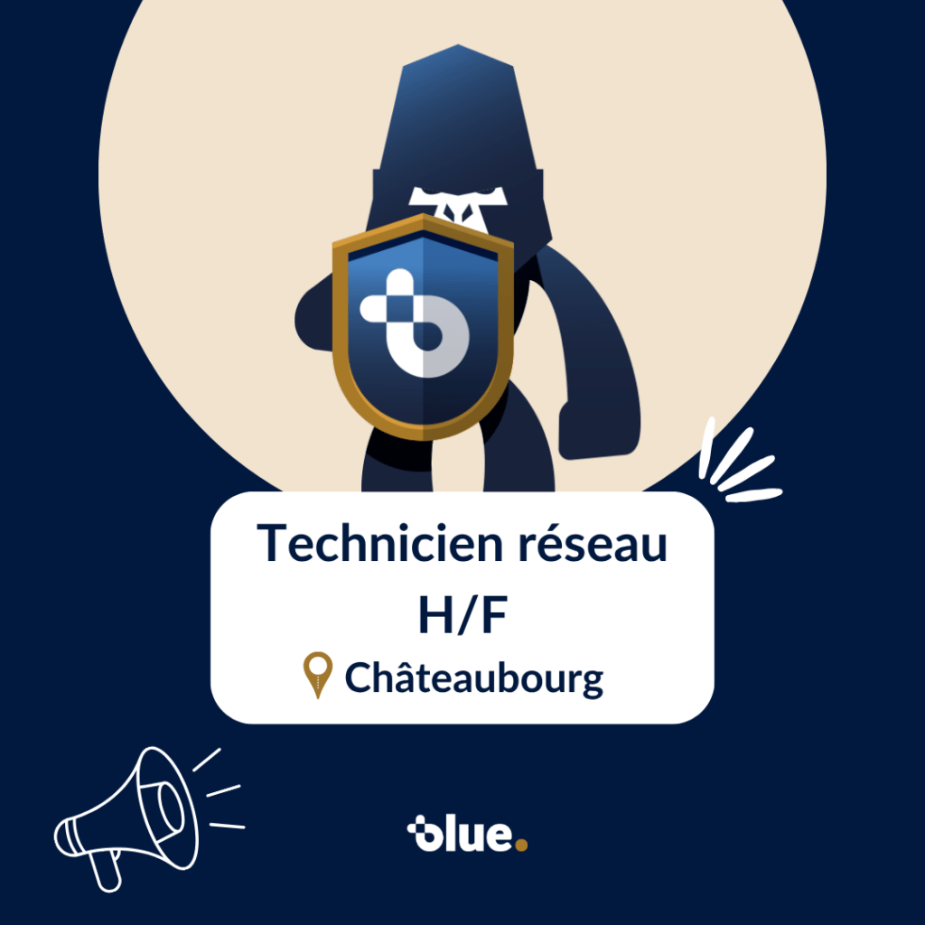 Technicien réseau (1)